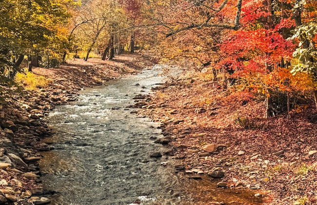 Cozy Creek Cottages - Photo 1