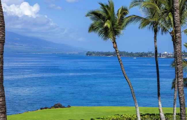 Kihei Surfside - Maui Condo & Home - Foto 21