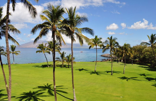 Kihei Surfside - Maui Condo & Home - Foto 18