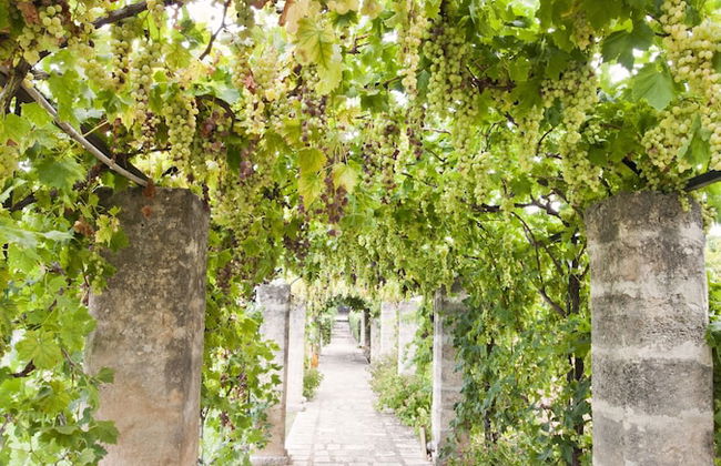 Casina Dei Preti - Photo 74
