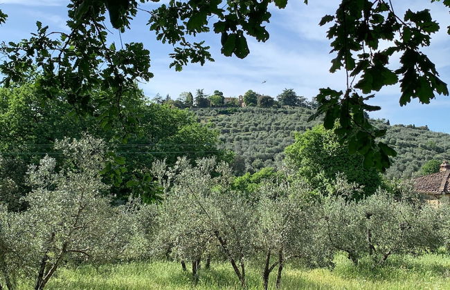 Villa in Tuscany With Pool and Wine Tasting - Foto 37