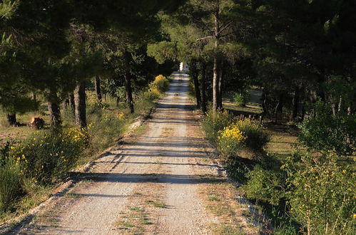 Photo 14 - Posto del Sole