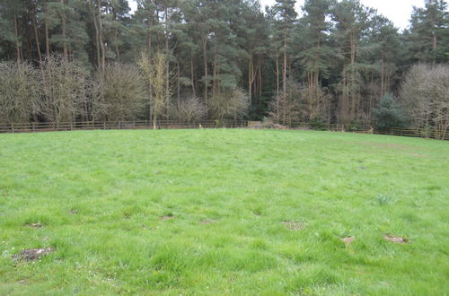 Photo 24 - Middlehead Cottages at Cropton Forest