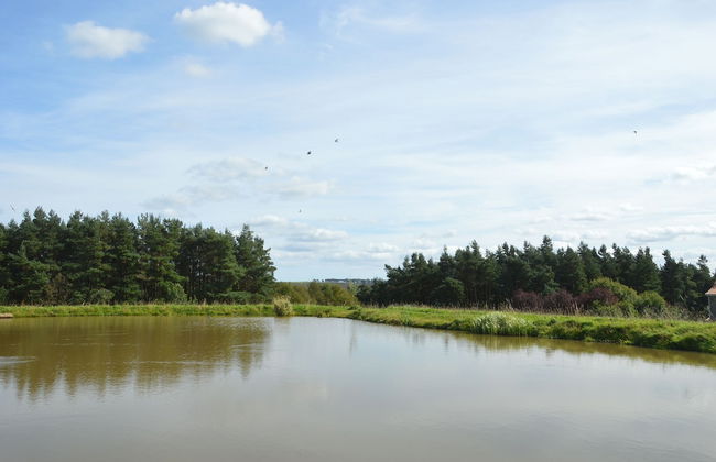 Middlehead Cottages at Cropton Forest - Foto 21