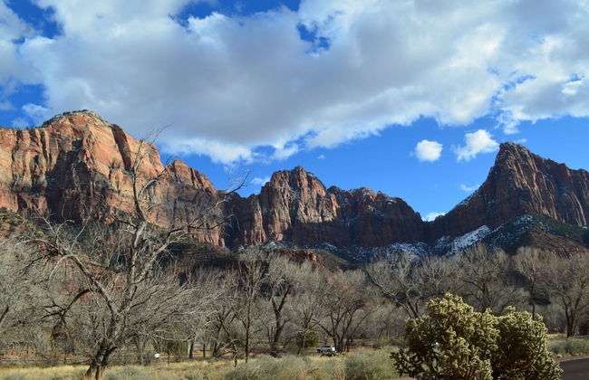 Zion's Camp and Cottages - Foto 45