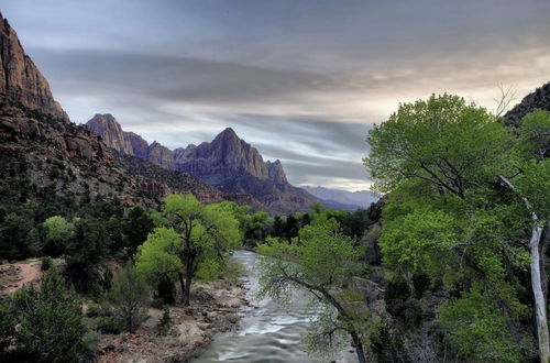 Photo 75 - Zion's Camp and Cottages