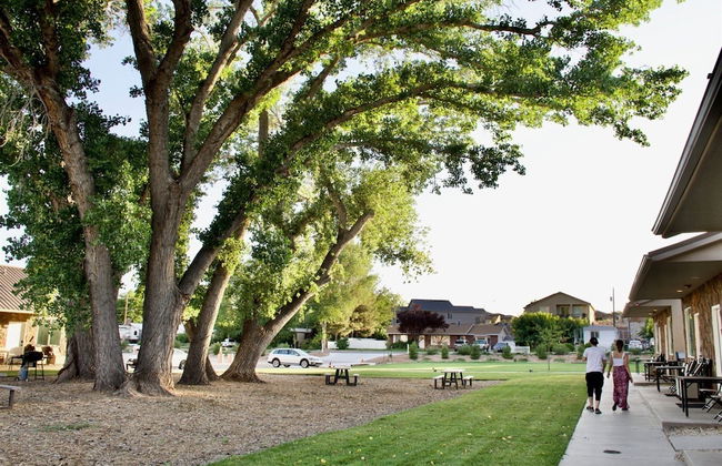 Zion's Camp and Cottages - Foto 58