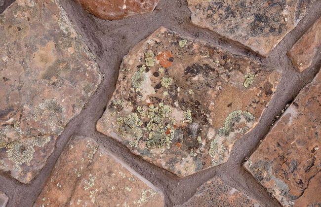 Zion's Camp and Cottages - Foto 53