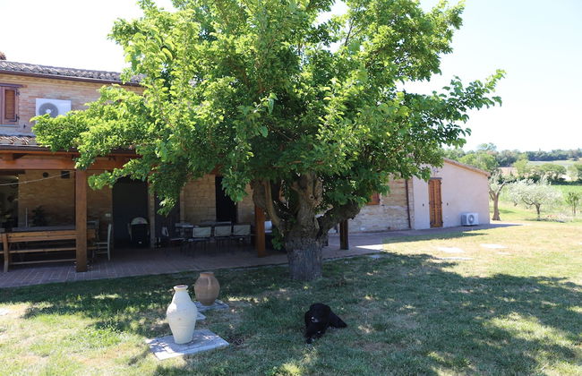 Casale Talevi - Foto 35