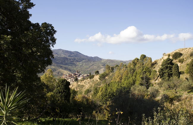 Le due querce - Foto 45