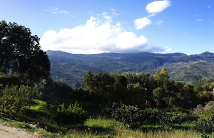 Le due querce - Foto 36