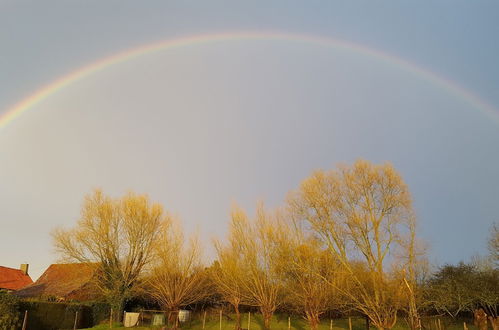 Photo 36 - Entre Ciel et Marais