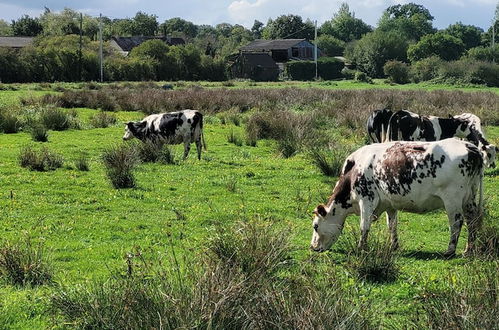 Foto 41 - Entre Ciel et Marais