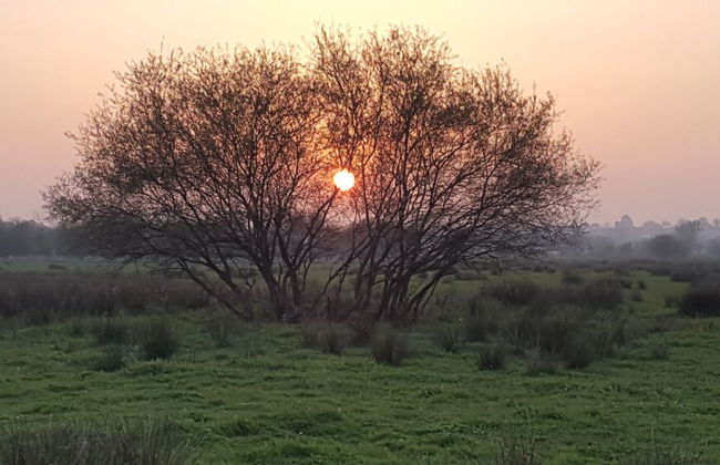 Entre Ciel et Marais - Foto 42