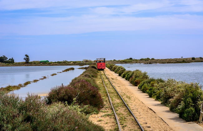 Pedras d'el Rei - Foto 77