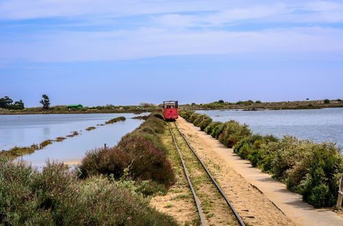 Foto 77 - Pedras d'el Rei