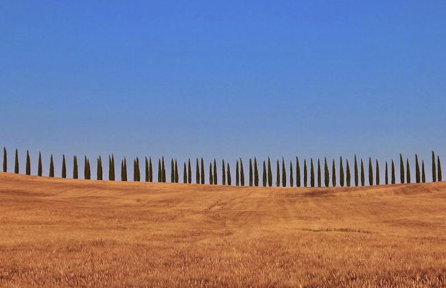 Charming Tuscan Farmhouse - Foto 37