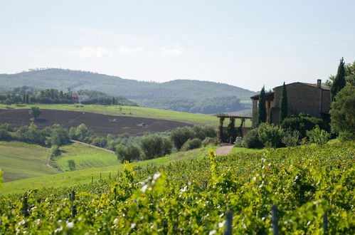 Photo 42 - Tenuta Pianirossi