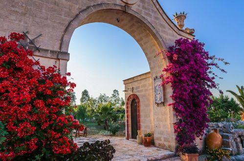 Photo 64 - Masseria Montenapoleone