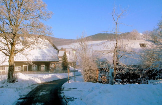 Apartment in Bernau Near Feldberg Ski Area - Foto 35