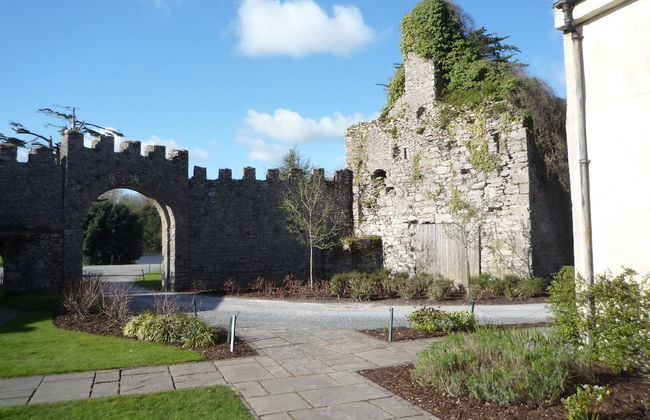 Castlemartyr Mews - Foto 54