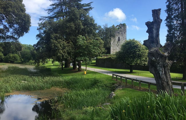 Castlemartyr Mews - Foto 52
