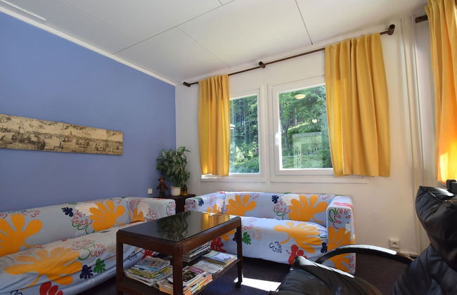 Chalet in Dolni Brusnice Near Ski Lift - Foto 10