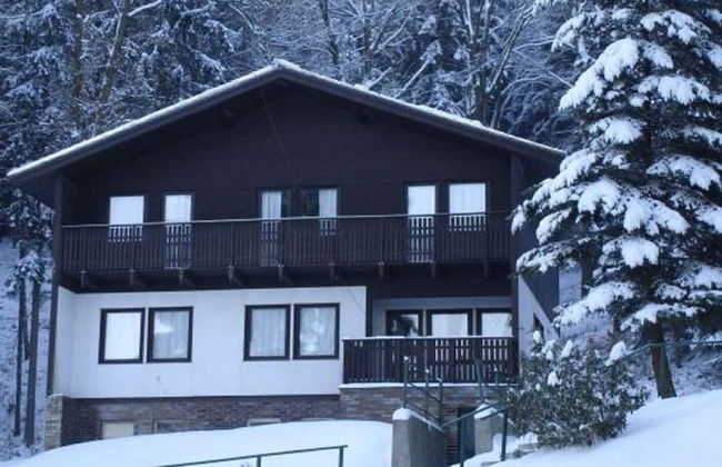 Chalet in Dolni Brusnice Near Ski Lift - Foto 1