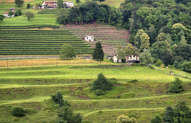 Romantic Lake View With Garden - Foto 19