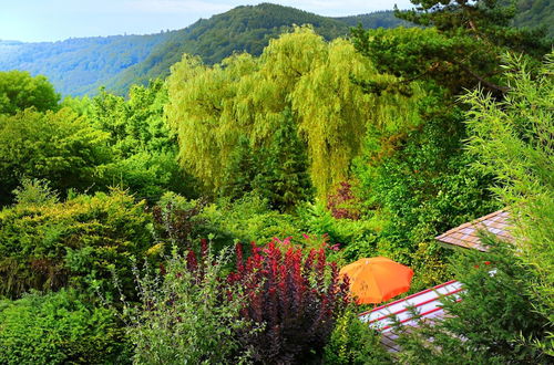 Photo 23 - Vintage Chalet in Sougné-Remouchamps near Forest