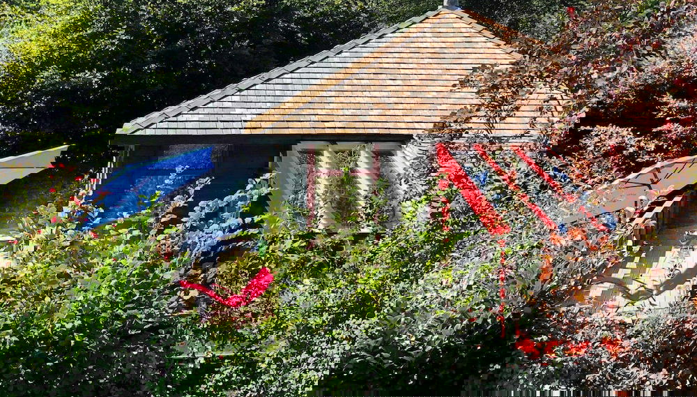 Image principale