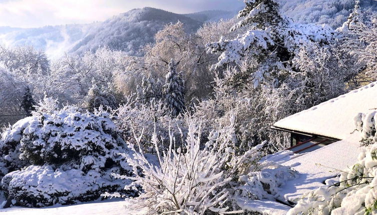 Photo 1 - Vintage Chalet in Sougné-Remouchamps near Forest