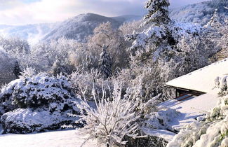 Photo 1 - Vintage Chalet in Sougné-Remouchamps near Forest