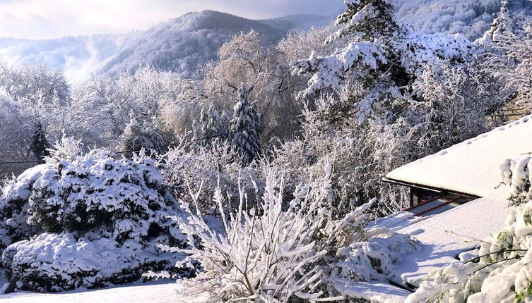 Photo 1 - Vintage Chalet in Sougné-Remouchamps near Forest