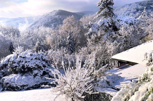 Photo 1 - Vintage Chalet in Sougné-Remouchamps near Forest