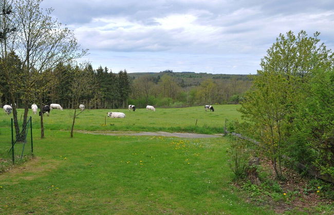 Inviting Holiday Home, Near Cave of Lorette, Namur and Parc Naturel Rgional des Ardennes - Foto 27