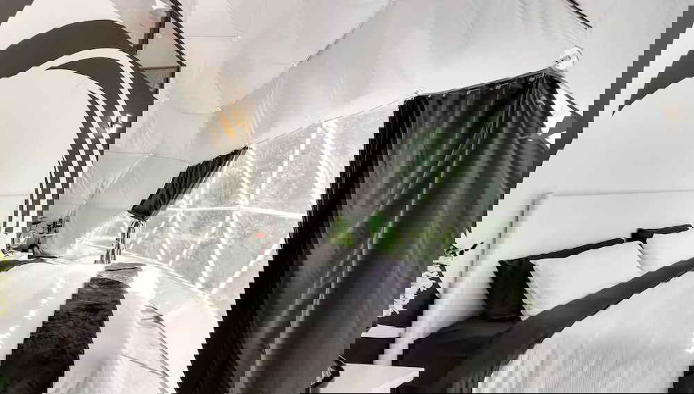 Imagem principal