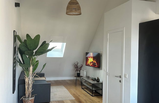 National Large City Apartments - Photo 5