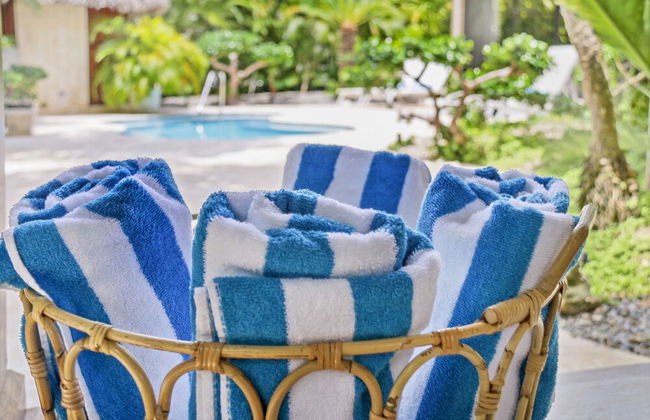 Beautiful Villa Tortuga at Puntacana Resort Club Pool Garden Golf Cart Maid - Foto 43