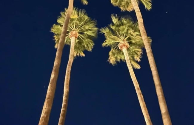 Four Palms in Deepwell Estates - Foto 43