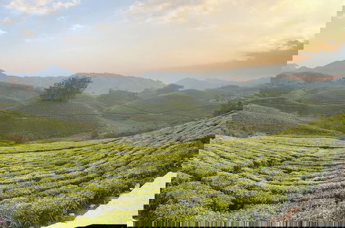 Foto 19 - Hilltop Munnar by Fracspace