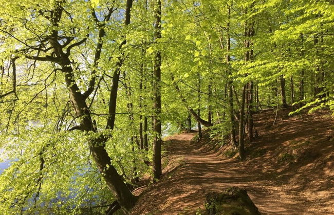 Das-zauberlig-ferienhaus - Foto 24