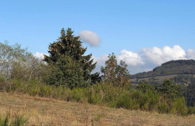 Bungalow in Eifel Near Forest and Mountains - Foto 43
