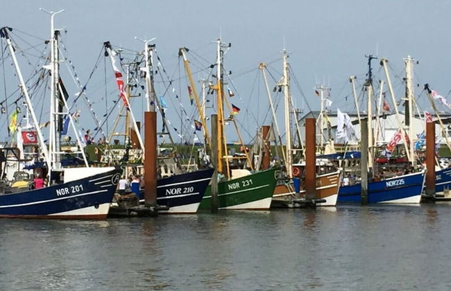 Charming Apartment in Norden - Foto 15