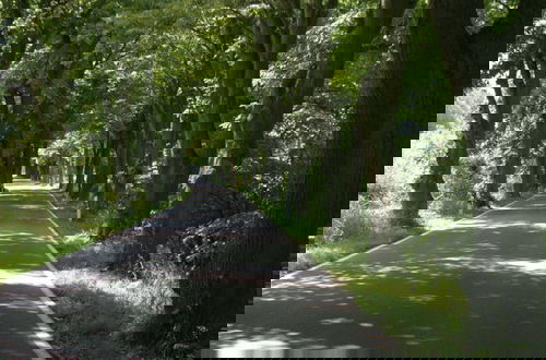Photo 15 - Holiday Apartment Nature View