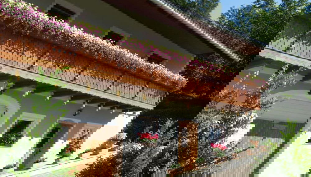 Imagem principal