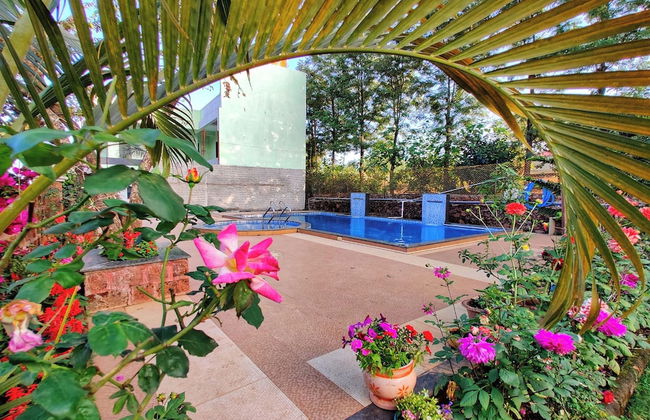 Strawberry Land Resort - Foto 27