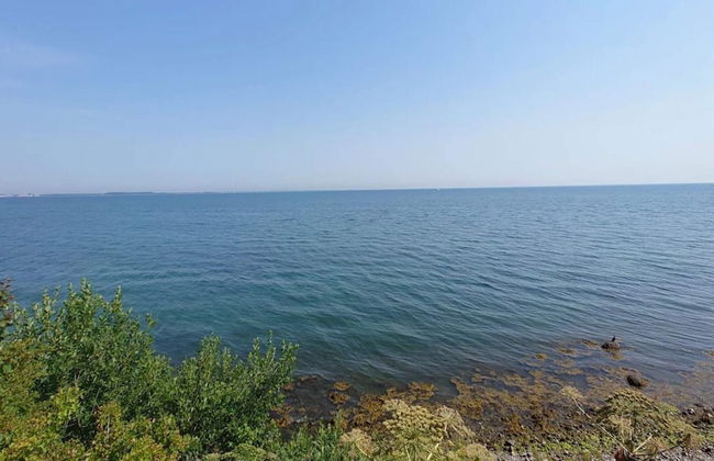 4 Person Holiday Home in Frorup - Foto 44