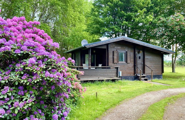 Holiday Home in Eschede Near Nature Trails - Foto 28