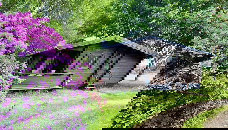 Foto 1 - Holiday Home in Eschede Near Nature Trails